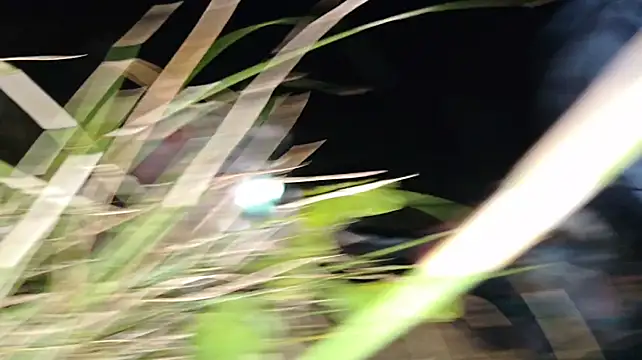 Vuitton live sex cam