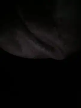 Ghost_Stallion live cam on StripChat