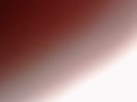 iLoveElusiveCats live sex cam