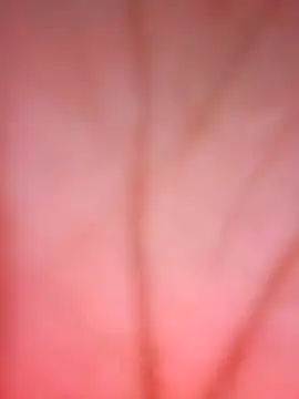 SugarWithSpice live cam on StripChat