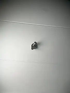 BedroomBullyX5 live sex cam