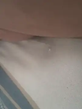 MrToxxic live sex cam