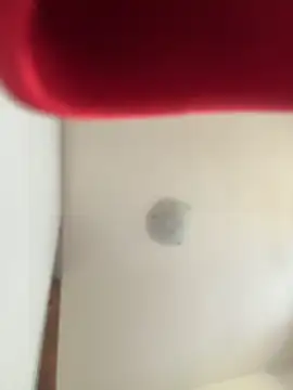 kotkite live sex cam