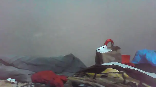 cobrosdepagos live cam on StripChat
