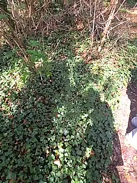LIBERTINE_HOT_Gourmandise webcam