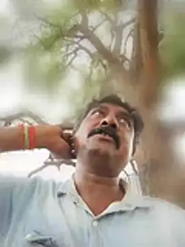 ApposedBearingtamilnadu webcam