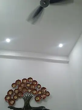 hottydisha webcam