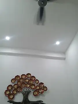 hottydisha webcam