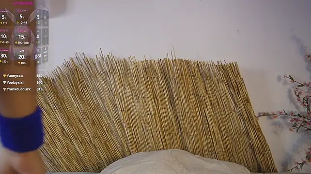 bunnycuteshy live sex cam