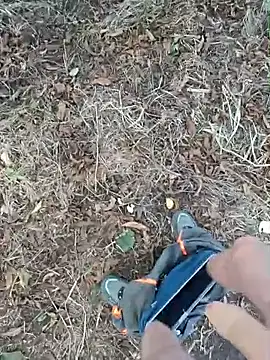 FancySnake