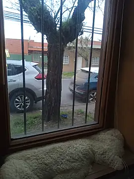Skinnyboy_hot live sex cam