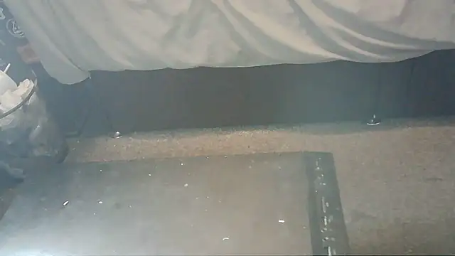mole800 live cam on StripChat