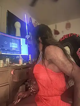 Modelo: Motherbigbus