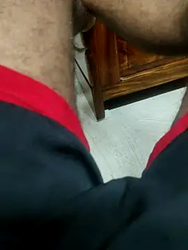 Bengali_BULL1