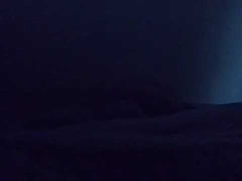 lainearia live cam