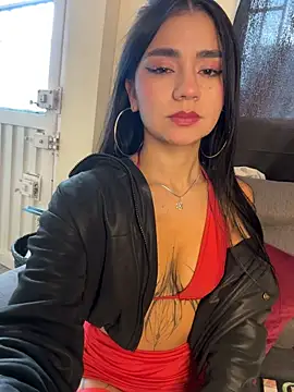 Dakota-fire live cam