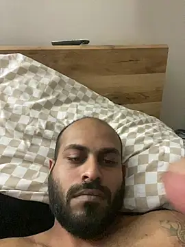 islandvybee55