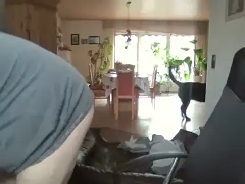Nobbie444's live cam