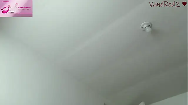 vanered2 live cam on StripChat