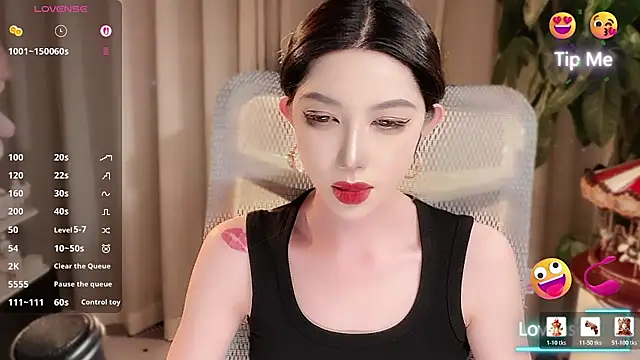 vyizh live cam