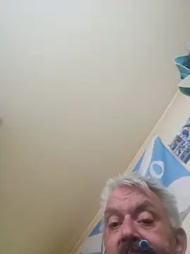 Fonse1860 live cam