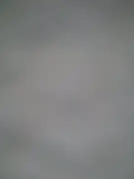 RobertaRabao021