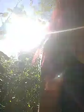 angeleclara@xh live cam