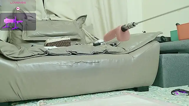 fox-yiyi