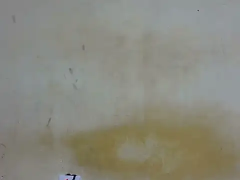 sweetcutey live cam