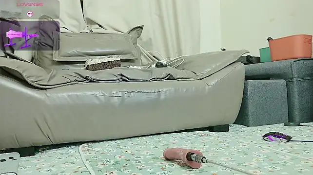 fox-yiyi