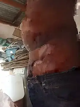 WiseDi live cam on StripChat