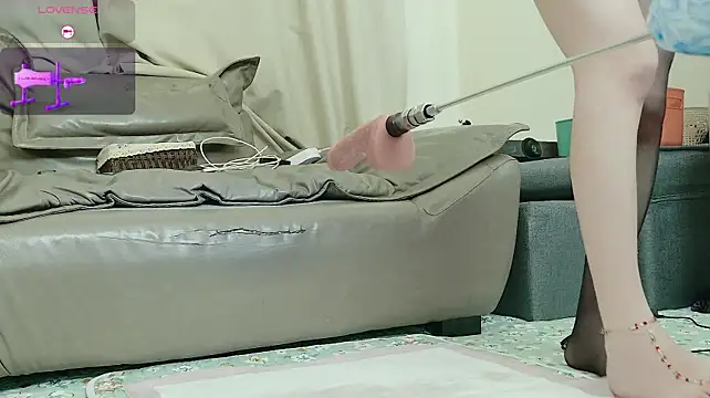 fox-yiyi