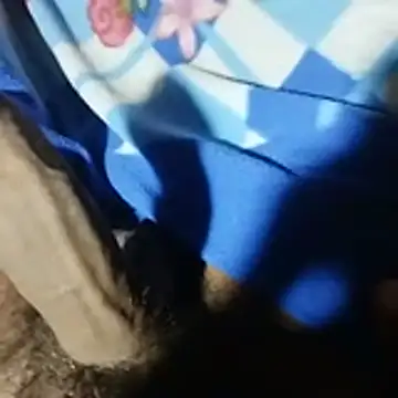 Bigbbcblack00