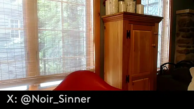 sinnernoir (M mature) - stroke show, standing