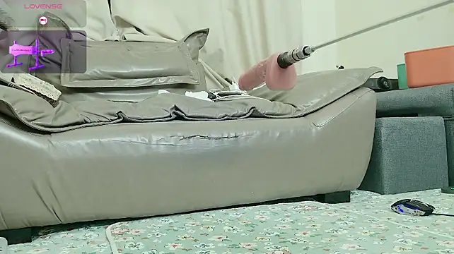 fox-yiyi