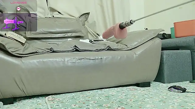 fox-yiyi
