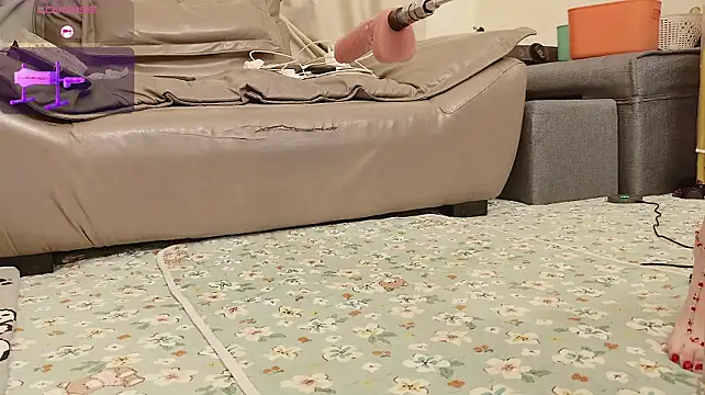 fox-yiyi
