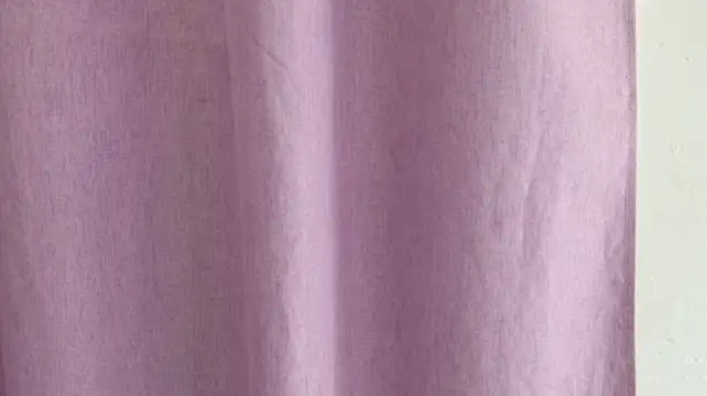Carolina_Bloom