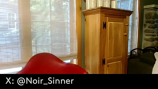 sinnernoir (M mature) - stroke show, standing