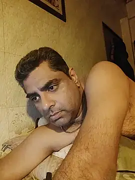 hardnhornybull