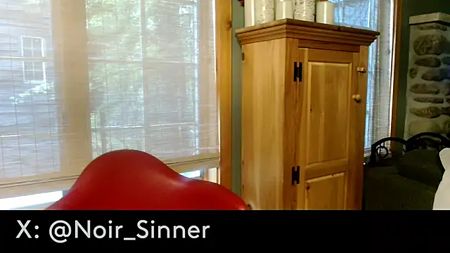sinnernoir (M mature) - stroke show, standing