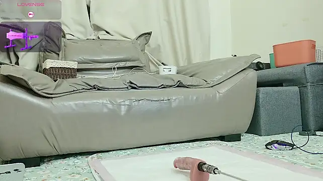 fox-yiyi