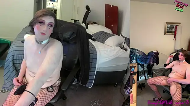 SissyCDMish live cam on StripChat