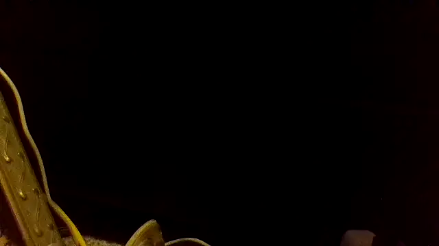 shag369 live cam on StripChat