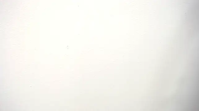Megann_Scoth