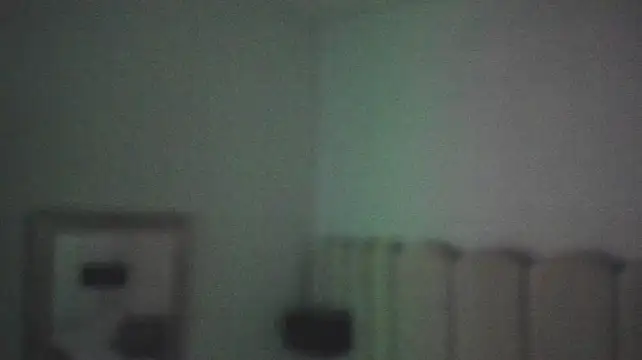 Alaia_Ferrer22
