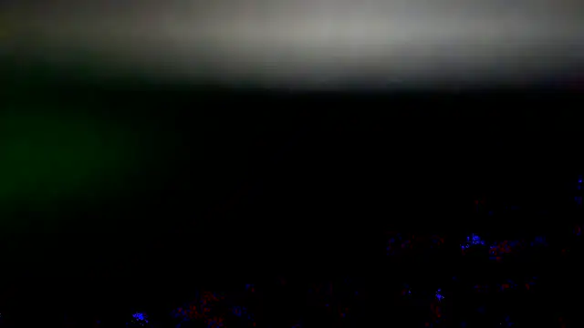 kotkite live cam