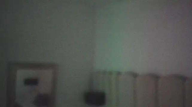Alaia_Ferrer22
