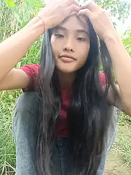 Hoa-tuylip live cam
