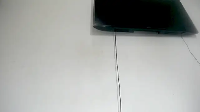 Fox_Loves live cam on StripChat